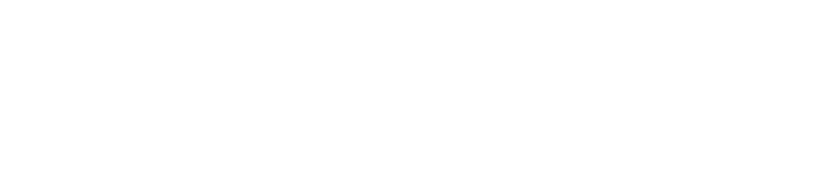 Direct Travel Logo