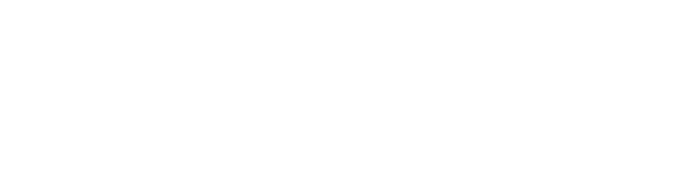 Direct Travel Logo